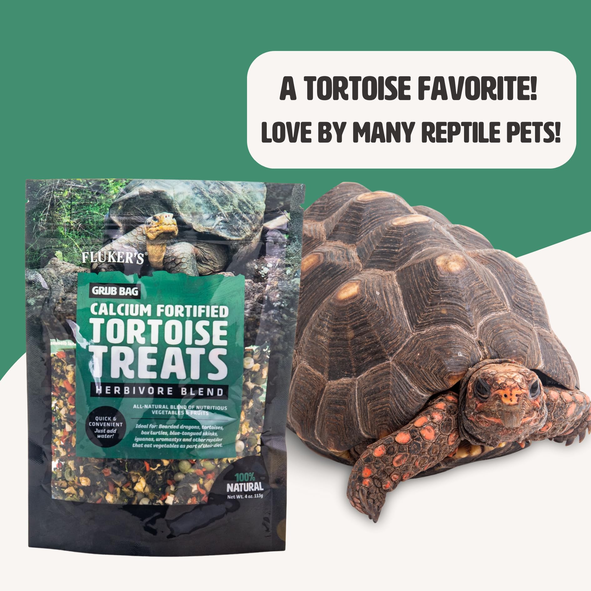 食器 GRUB et TORTUE Amazon.com : Fluker's Grub Bag Calcium Fortified Tortoise Treats